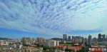 快看！今晨，广州的天空撒满“棉花糖” - 广东大洋网