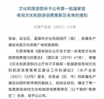 正式公布！第一批国家级夜间文化和旅游消费集聚区名单 广州两地入选 - 广东大洋网