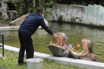 “萌”来“萌”往！跟着记者探访动物园里的“动物外交家” - 广东大洋网