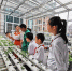 快来给小菜园点赞，选出“最美广州城市小菜园”！ - 广东大洋网