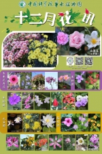 12月的华南植物园花开正盛，收好这份赏花指南 - 广东大洋网