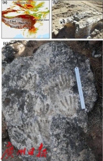 广州大学团队的这个发现，入选今年世界十大考古发现 - 广东大洋网