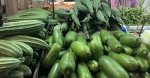 蔬菜价格平稳回落，红皮萝卜、茼蒿等大幅降价 - 广东大洋网