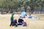 走，露营去！ 广州开放24个公园绿地帐篷区 - 广东大洋网