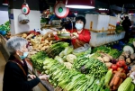 广州蔬菜价格继续下跌，主要蔬菜零售均价4元一斤 - 广东大洋网
