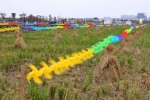 首创打造标志性农业IP！南沙明珠农业公园春节开放 - 广东大洋网