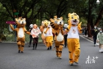 虎年沾“虎”气！广州动物园老虎成了人气王 - 广东大洋网