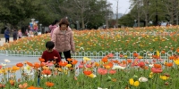 春节越秀公园为16.16万人次，各大公园客流最新数据在这里 - 广东大洋网