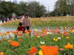 春节越秀公园为16.16万人次，各大公园客流最新数据在这里 - 广东大洋网