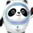 为冬奥健儿加油！来广州动物园参加趣味熊猫冬奥会吧！ - 广东大洋网