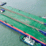 亚洲第一大海工驳船在南沙改装交付 - 广东大洋网