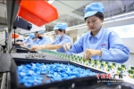 图为惠州茂硕能源科技有限公司工人正在组装。 作者 博罗县委宣传部供图 - 中国新闻社广东分社主办