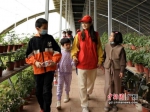西部计划志愿者谢佳彤带领学生在托克扎克镇花卉种植基地 作者 受访者供图 - 中国新闻社广东分社主办