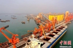南沙粮食通用码头，卸船机和门机正在卸载一艘粮食大船。　陈智伟 摄 - 中国新闻社广东分社主办