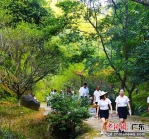 经过生态修复后的梅关古道吸引来大批游客　冯建奎 摄 - 中国新闻社广东分社主办