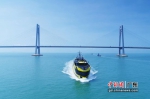 珠海九洲迷你邮轮“大黄蜂”号正在航行中。 作者 刁晓平 - 中国新闻社广东分社主办