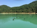 17日起增城白江湖森林公园恢复开放 - 广东大洋网