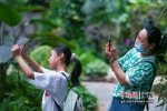 “小候鸟”和妈妈开心同游 作者 主办方供图 - 中国新闻社广东分社主办