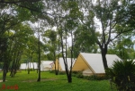 广州拟规定：公园草坪搭帐篷需预约，10人以上聚会需报备 - 广东大洋网