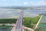 莲阳河特大桥穿越红树林 作者 陈振英 - 中国新闻社广东分社主办