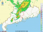 广州这几个区雨势较大，伴有雷电和短时大风 - 广东大洋网
