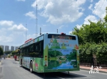 华南国家植物园揭牌，6台主题巴士上新！快来打卡 - 广东大洋网