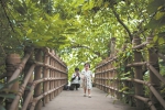 走出园融入城！华南国家植物园将打造自然课堂和身边植物园 - 广东大洋网