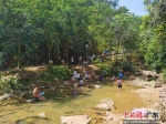 白江湖森林公园吸引游客戏水。广州市林业和园林局 供图 - 中国新闻社广东分社主办