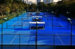 悦动羊城！广州这些体育公园一站满足你的运动需求 - 广东大洋网