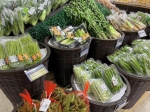 上周广州蔬菜价格降幅扩大，猪肉价格微幅上升 - 广东大洋网