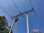图为电力工在耐张杆上悬挂接地封线 作者 黄金水 - 中国新闻社广东分社主办