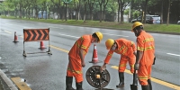 广州市内各部门排查广告牌沙井盖安全隐患 做好防御台风准备 - 广东大洋网