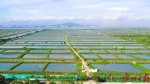 《广州农田基础设施管护办法》印发，11月起实施 - 广东大洋网