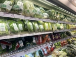 广州市蔬菜零售价格下降品种增加 - 广东大洋网