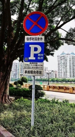 缓解临时停车难，广州已在164条路段设置免费停车区域 - 广东大洋网