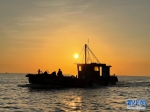 　　渔船在夕阳余晖中满载而归，海天一色，美不胜收。新华网 伍嘉炜 摄 - 新浪广东