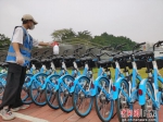 广州防疫工作者将可免费获得共享单车骑行月卡 通讯员供图 - 中国新闻社广东分社主办