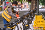 广州共享单车逐步恢复正常运营 陈倩供图 - 中国新闻社广东分社主办