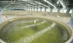 集结全国水产新品种，水产种博会在广州开幕 - 广东大洋网