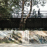 旁侧的墙面区域，以墙绘的形式展示了著名的“江高之役”。 作者 谭札烽 - 中国新闻社广东分社主办