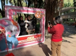 广州动物园迎来65岁生日，推出多项活动庆生 - 广东大洋网