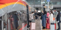 列车抵达广州南站，旅客有序下车 丘铨力 摄 - 中国新闻社广东分社主办