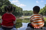 2日是全球第27个“世界湿地日”，广州长隆飞鸟乐园举办“百鸟飞歌”活动，尽现湿地生态勃勃生机。 作者 陈骥旻 - 中国新闻社广东分社主办