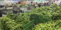 节后广州江南市场蔬菜价格下降，豆类蔬菜跌幅较大 - 广东大洋网