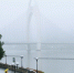 大雾弥漫天气潮湿，周三雨雾天气缓解 - 广东大洋网