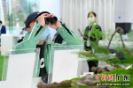 市民在展览上体验望远镜。 作者 陈骥旻 - 中国新闻社广东分社主办
