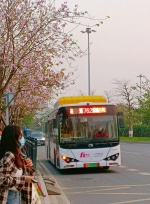 花城春日赏花模式已开启，收好这份公交出行攻略 - 广东大洋网