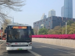 花城春日赏花模式已开启，收好这份公交出行攻略 - 广东大洋网