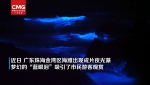2023年2月24日中央广播电视总台：“蓝眼泪”夜光藻：美丽的“隐患” - 华南师范大学