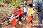 奥运冠军谢思埸参与植树(左1)。广东省林业局 供图 - 中国新闻社广东分社主办